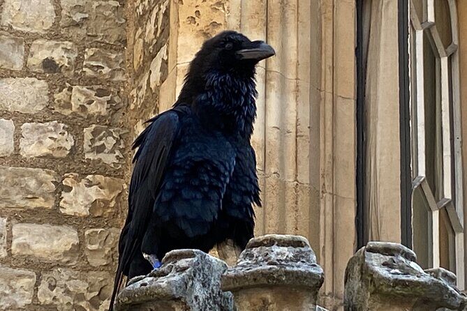 The Tower of London - Small Group Tour with a Local Expert - Who Will Love This Tour?