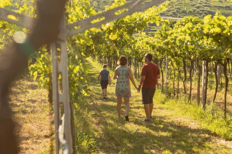 THE TRADITIONS OF VALPOLICELLA: WINE, EVO OIL, AND HONEY TASTING - Who Will Love This Tour?