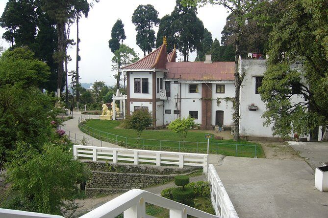 The Travel Tart (5 Point). - Exploring Darjeeling’s 5-Point Tour in Detail