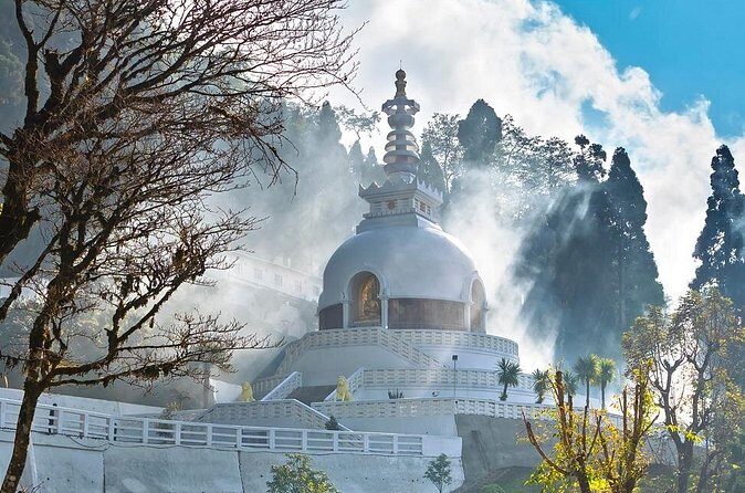 The Travel Tart (5 Point). - Who Is This Tour Best For?