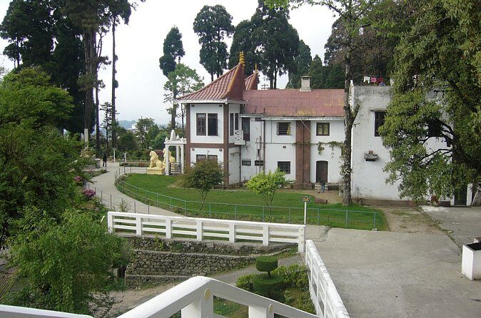 The Travel Tart (5 Point). - Final Thoughts