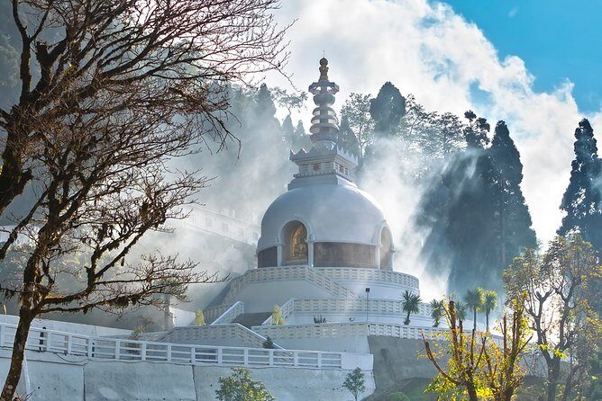 The Travel Tart (5 Point). - FAQ