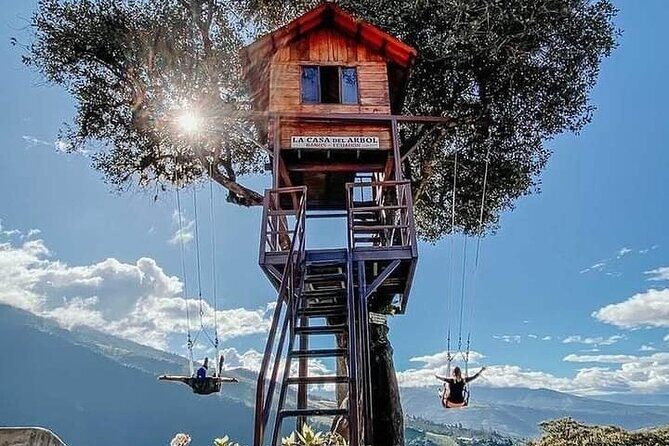 The Tree House - Tours - Swing at the End of the World - Viewpoint - A Detailed Look at the Experience