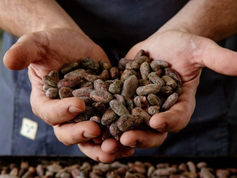 The Turin Chocolate Factory Guided Tour & Tasting - Breakdown of the Tour Itinerary