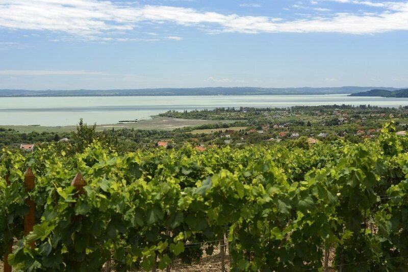 The Turquoise Sea of Hungary: Lake Balaton Private Tour - Discover the Turquoise Waters of Hungary: Lake Balaton Private Tour