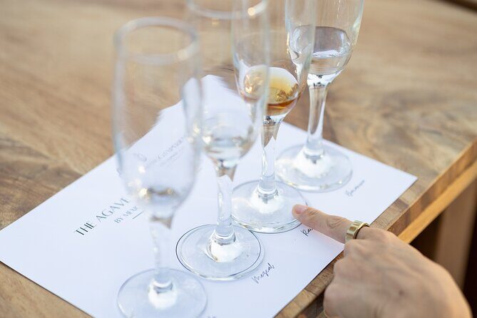 The Ultimate Agave Tasting with Tequila, Mezcal & more! - A Detailed Look at the Agave Tasting Experience