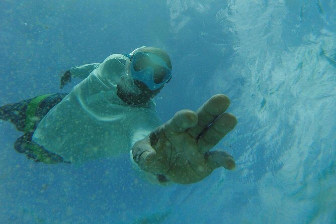 The ULTIMATE Bioluminescence night time adventure with Brandon - FAQs