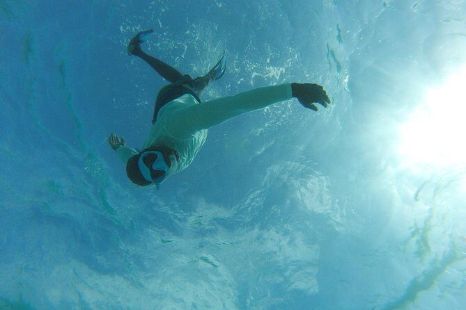 The ULTIMATE Bioluminescence night time adventure with Brandon - Final Thoughts