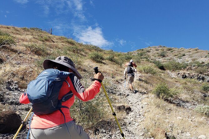 The Ultimate Camel Safari Experience in Los Cabos - The Ultimate Camel Safari Experience in Los Cabos