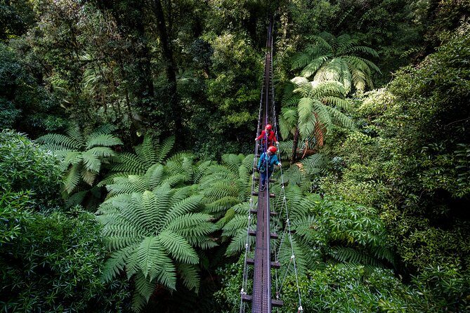 The Ultimate Canopy Zipline Experience Private Tour From Auckland - Who Should Consider This Tour?