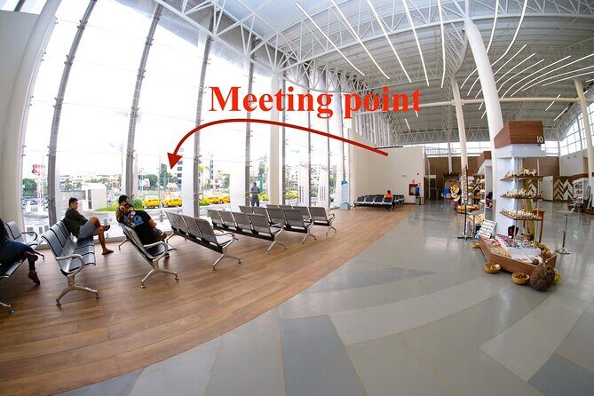 The ultimate Cocoa farm experience - The Sum Up