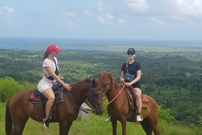 The Ultimate Dominican Horseback Riding Adventure - An In-Depth Look at the Experience