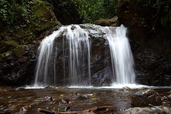 The Ultimate Jaco Waterfall Experience Adventure & Serenity - Key Points