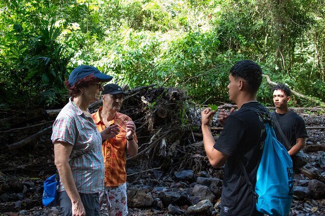 The Ultimate Jaco Waterfall Experience Adventure & Serenity - A Detailed Look at the Ultimate Waterfall Adventure