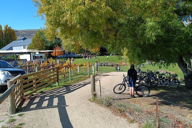 The Ultimate Lake Dunstan Bike Hire And Boat Experience - An In-Depth Look at the Lake Dunstan Bike and Boat Experience