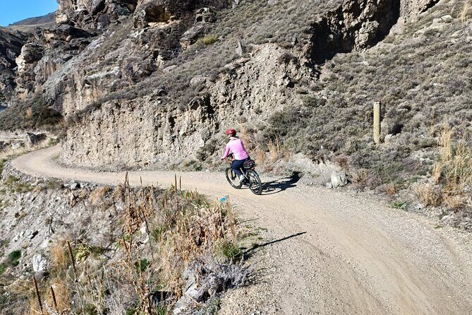 The Ultimate Lake Dunstan Bike Hire And Boat Experience - Why Choose This Tour?