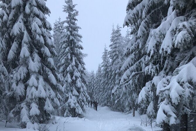 The Ultimate Norwegian Skiing Experience - Frequently Asked Questions