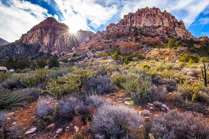 The Ultimate Red Rock Canyon Scenic Experience - Who Will Love This Tour?