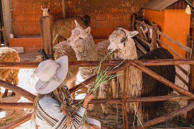 The Ultimate Sacred Valley tour: 1 day of Inca history, lifestyle, landscapes - Exploring the Sacred Valley in Depth