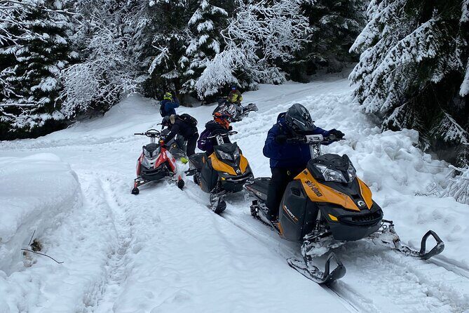 The Ultimate Snowmobile Adventure - 7 Rila Lakes & Panichishte - FAQ