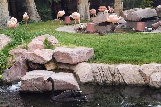 The Vegas Mob Tour - Frequently Asked Questions