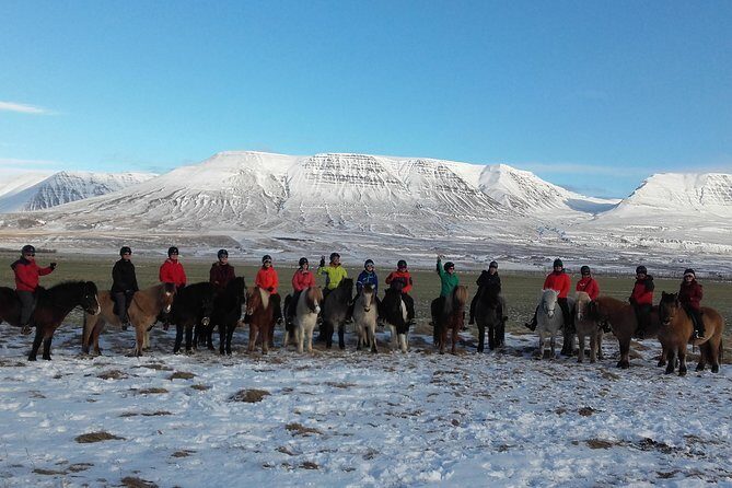 The Viking Horse Riding Experience in North Iceland - A Genuine Look at the Viking Horse Riding Experience in North Iceland
