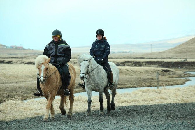 The Viking Horse Riding Experience in North Iceland - FAQ