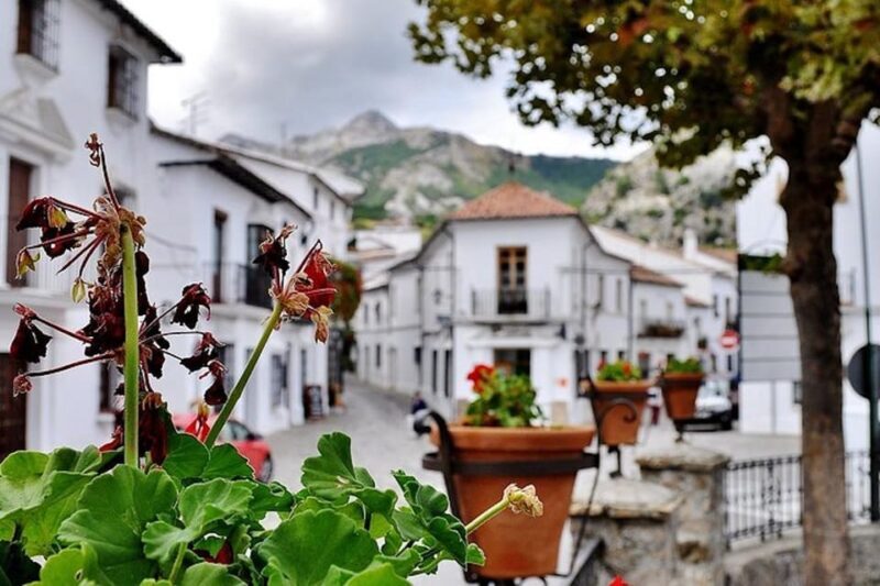 The Villages of Andalusia: Full-Day Trip from Seville - Who This Tour Is Best For
