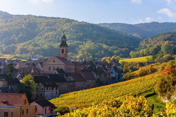 The Vine Tour from Zurich (Private Tour) - Exploring Basel: The Historic Heart of Switzerland