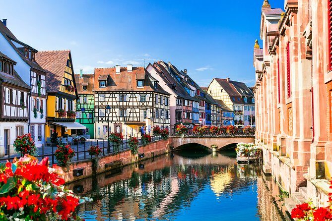 The Vine Tour from Zurich (Private Tour) - Who’s This Tour For?