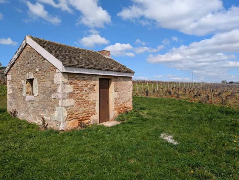 The Vineyard Watchers - Exploring Burgundy’s Vineyards with The Vineyard Watchers