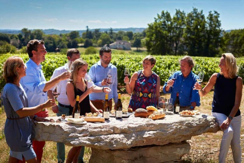 The Vineyard Watchers - Key Points