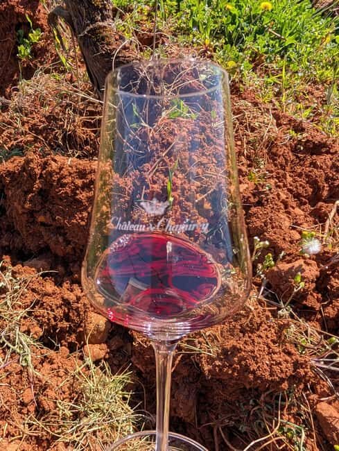 The Vineyard Watchers - Who Should Consider This Tour?