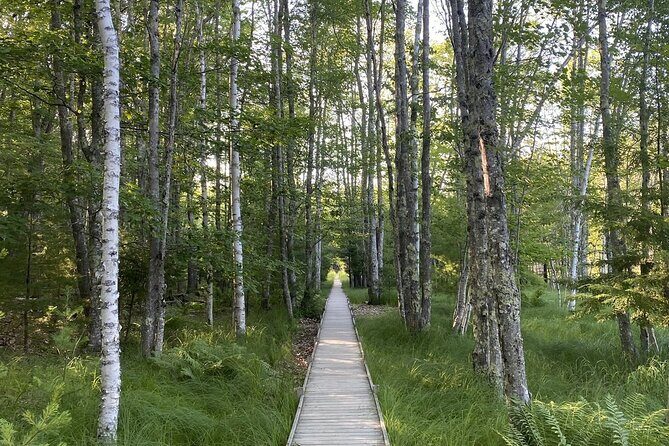 The Way Life Should Be: 4-hr, Private Guided Tour of Acadia NP. - FAQ