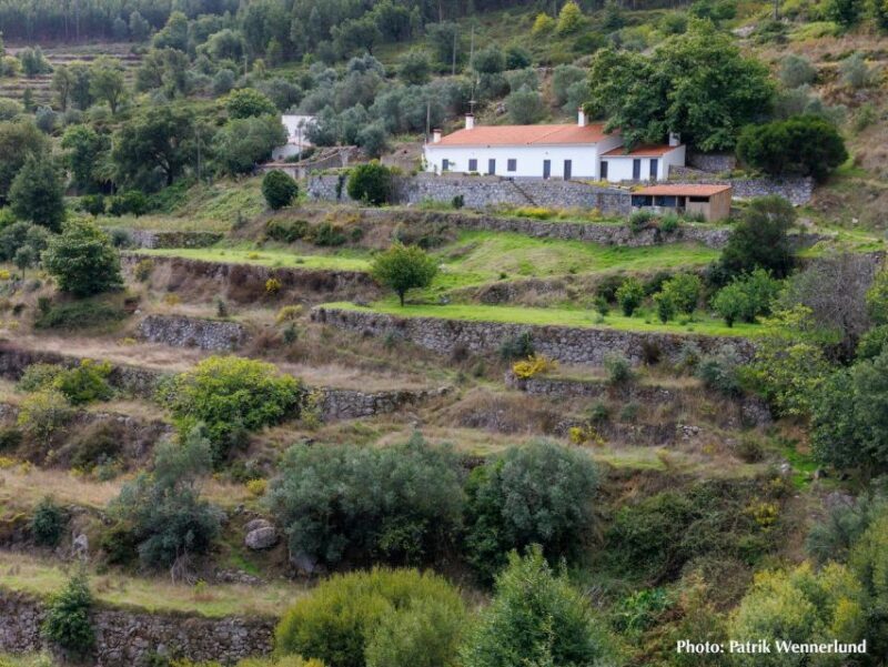 The western wild Algarve with a luxury picnic and extra Wow - Discovering the Wild Side of the Algarve: A Detailed Review
