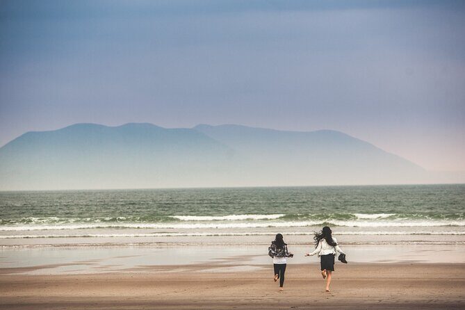 The Wild Coast of Dingle Peninsula and Slea Head from Killarney - Exploring Ireland’s Wild Coast: Slea Head and Dingle Peninsula from Killarney