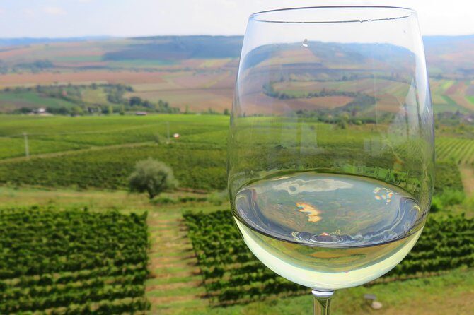 The wine route by bike - Discover Romania’s Hidden Wine Treasures on Two Wheels