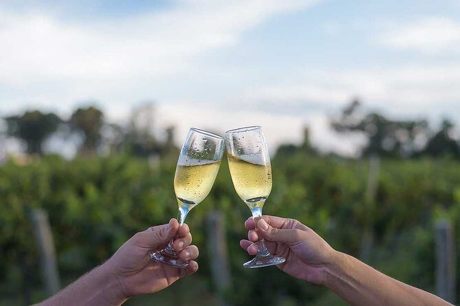 The Wine Route from San Juan - Discovering the Wine Route from San Juan: An Authentic Sip of Argentina’s Vineyards