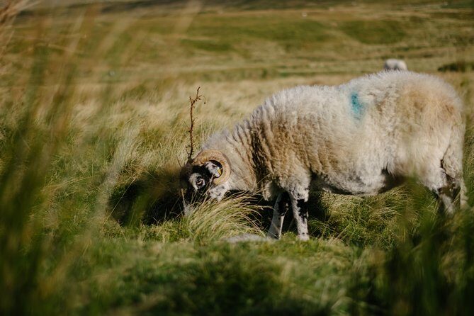The Yorkshire Dales Tour from Windermere - Frequently Asked Questions