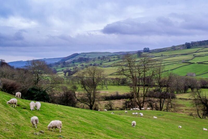 The Yorkshire Dales Tour from York - The Sum Up