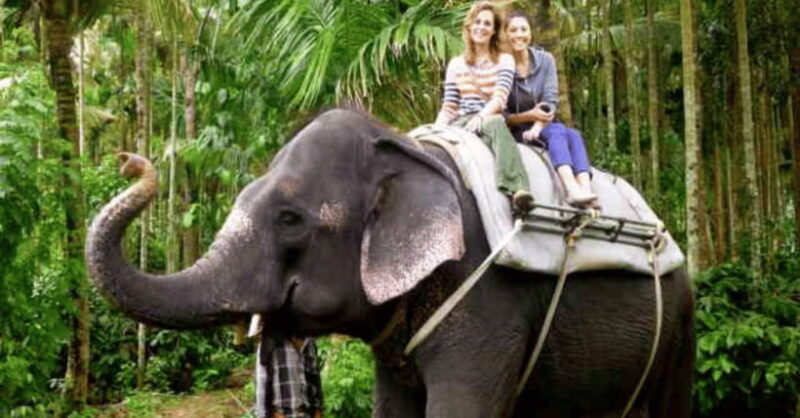 TheActivity that won the Best Tourist Attraction in SriLanka - A Deep Dive into the Experience
