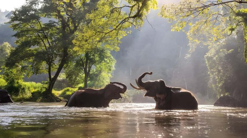 Thekkady Adventure: Off-Road Jeep Safari & Vagamon Tour - Thekkady Adventure: Off-Road Jeep Safari & Vagamon Tour