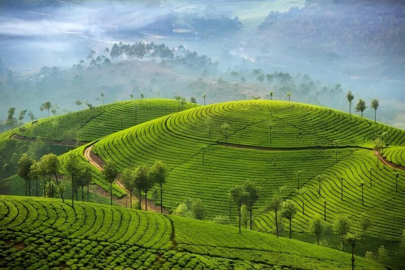 Thekkady Adventure: Off-Road Jeep Safari & Vagamon Tour - Key Points