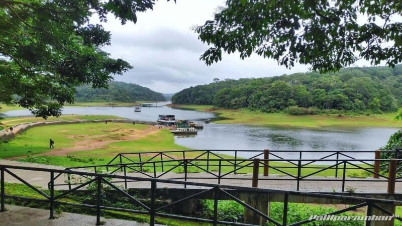 Thekkady: Vagamon Hill Station Day Trip with Breakfast - Who Should Consider This Tour?