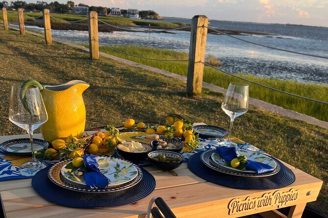 Themed Luxury Picnic - The Value of a Curated Picnic in Charleston
