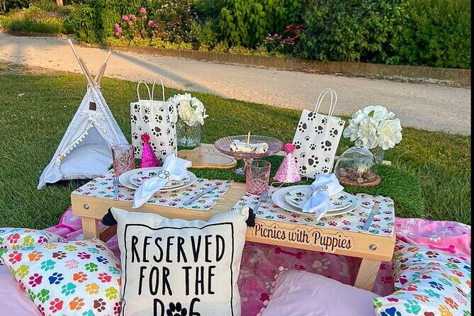 Themed Luxury Picnic - A Deep Dive into the Itinerary and Details