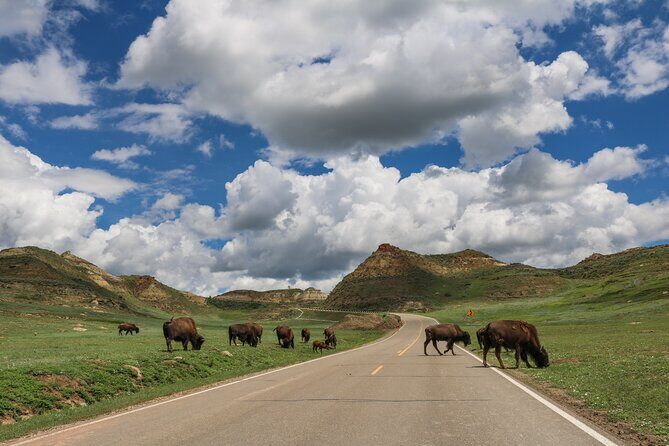 Theodore Roosevelt National Park Self-Guided Audio Tour - Key Points