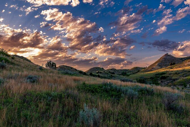 Theodore Roosevelt National Park Self-Guided Audio Tour - Who Should Consider This Tour?
