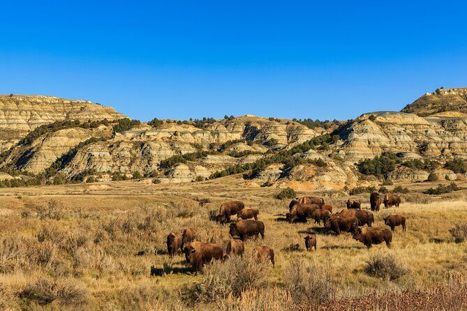 Theodore Roosevelt National Park Self-Guided Driving Audio Tour - The Sum Up
