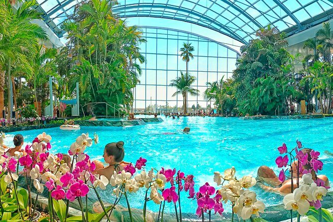 Therme Bucharest Tickets and Water Theme Park - An In-Depth Look at Therme Bucharest